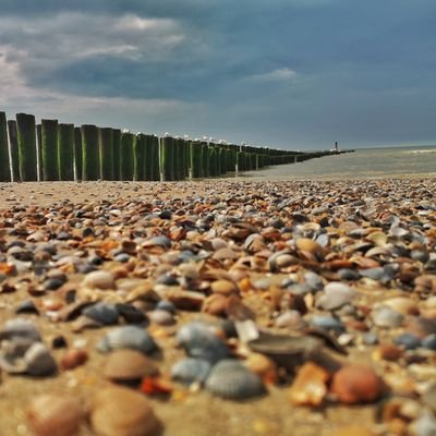 Consenpix's profile picture. 