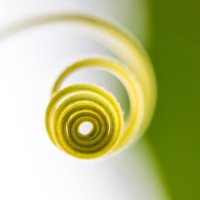 TheGrowingEdge (@the_growingedge) 's Twitter Profile Photo TheGrowingEdge (@the_growingedge) 's Twitter Profile Photo