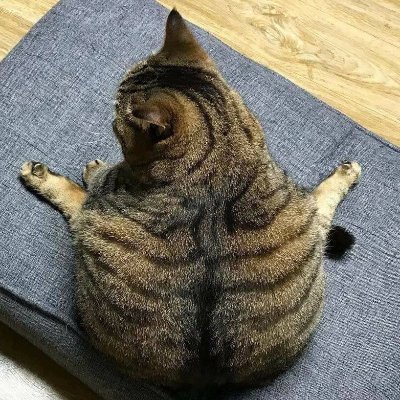 ceyuaさんのプロフィール画像
