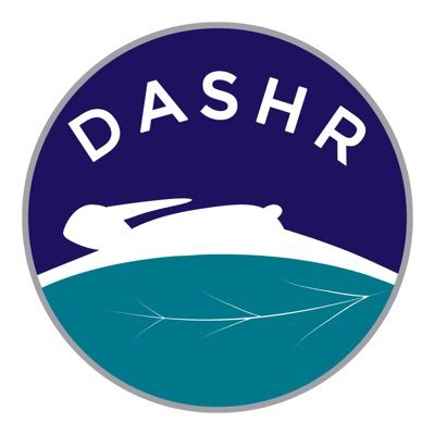 dashrorg Profile Picture