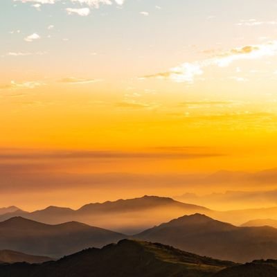 lilusysu1's profile picture. Doctor of Pelvic Surgery