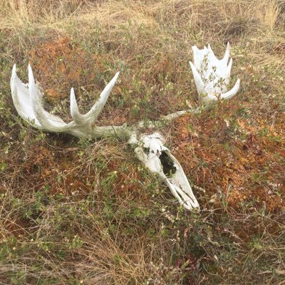 NuckingFuts19's profile picture. 