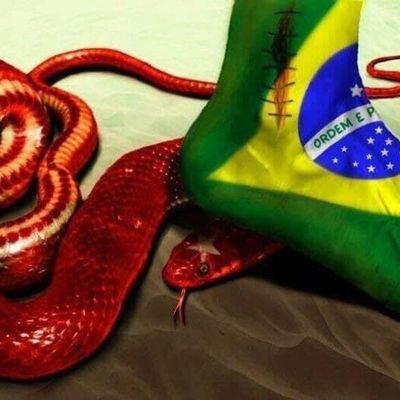 edsonws233's profile picture. ... --- ...
Morte certa a corrupção do nosso Brasil