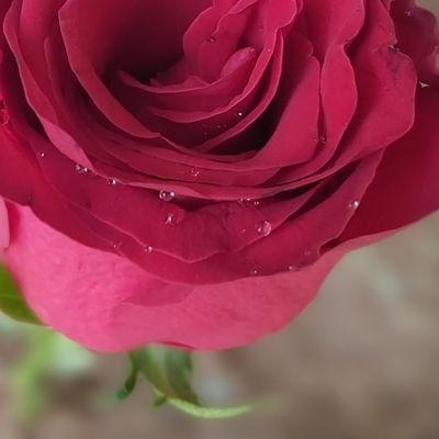 محبه للطبيعة ، محطمة للحواجز ، ادعو الله ان يسخرني لخدمة الاخرين