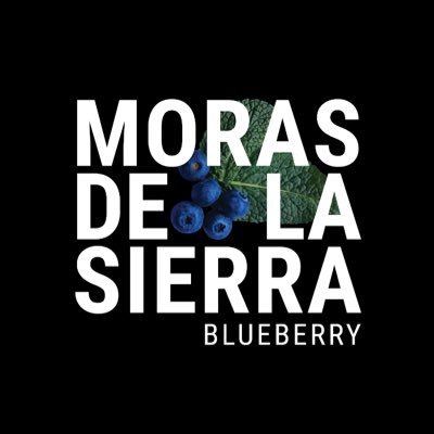 Productores de Mora Azul/BlueBerry/Arándanos en Veracruz, México. Moras de la Sierra, S.P.R. De R.L. De C.V Instagram: @morasdelasierra #ALABERRY