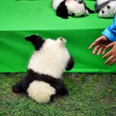 くこおじさんさんのプロフィール画像
