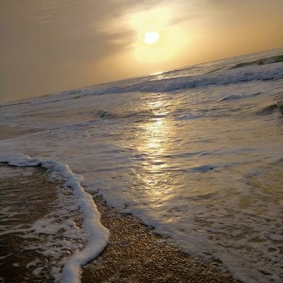 spsanjay_10's profile picture. 