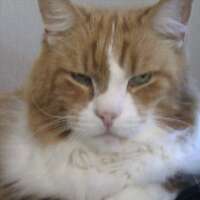 msee02's profile picture. 