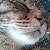 rrtbl (@rrtbl) 's Twitter Profile