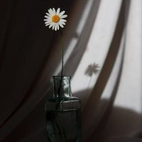 نُ|الحمد للّه (@nkhair_5) Twitter profile photo