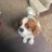 nikma1111's profile image