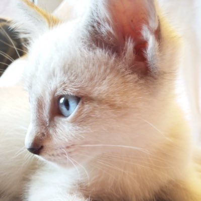 urr6YLbzpsYHPcD's profile picture. 