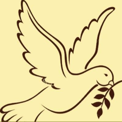 peej4evergreen's profile picture. You are the light that you seek.