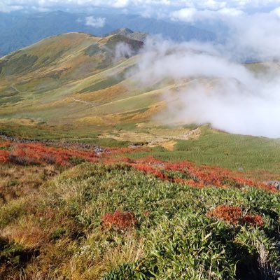 山登りが趣味です。鳥海山、岩手山が好きです。