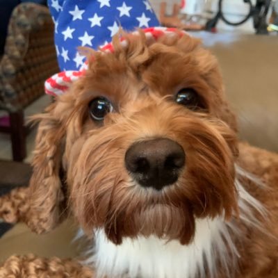 NicoleJNitsch's profile picture. 