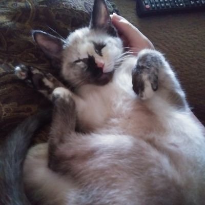 whoknows626's profile picture. 22 ~ 
Pansexual ~ 
Don't know why im here