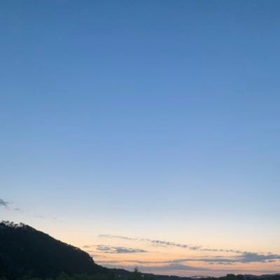 tison35953054's profile picture. 