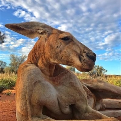 SmileMileJP81's profile picture. USCPA目指して勉強開始(アビタス Abitus)
根は不真面目・怠け者なので、モチベーション維持のためTwitter始めました(無言フォローお許し下さい)。勉強仲間募集中です！
30代/商社管理部/関西/国公立/理系大学院修了(Masterまで)/社会人歴10年未満/TOEIC840