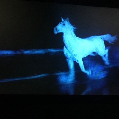 WillowShy's profile picture. 