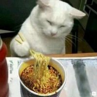 ALEX (@alxe141) 's Twitter Profile Photo ALEX (@alxe141) 's Twitter Profile Photo