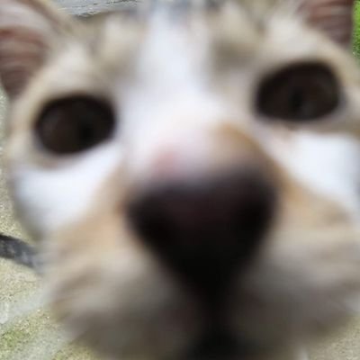 saiting10's profile picture. อยู่ดาวพลูโต