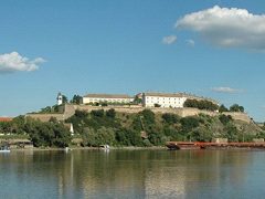 sheeepard's profile picture. 