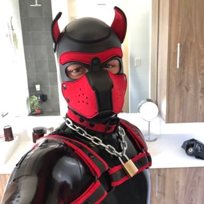 18+ NSFW - Young, red, rubber pup in Perth. Happily partnered with @aussiepupatlas. DM’s are open 😈