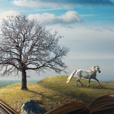 I am an author and publisher for Epona Publishing. I am interested in equestrian literature.