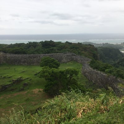 プロセスケミスト。 好き：城 仏像 歴史 哲学 化学 自己研鑽 思考 健康。発言は個人的見解。