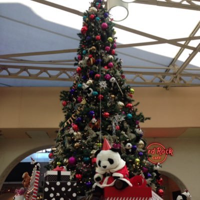 hika_pika_asa's profile picture. 