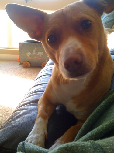 SirocNox's profile picture. 