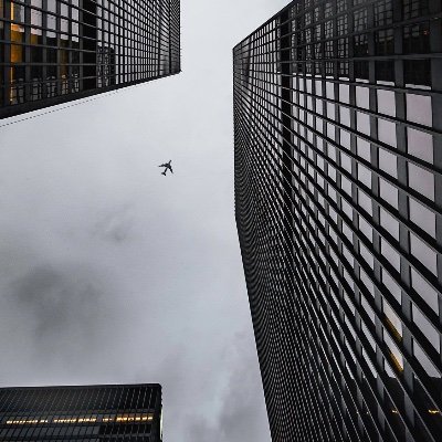 Talal53326824's profile picture. .