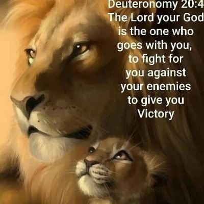 ipob_family's profile picture. I wish everyone freedom.