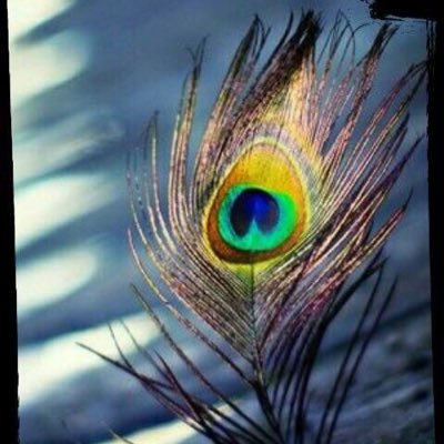 pooshah20's profile picture. life is beautiful!! Gratitude 🙏