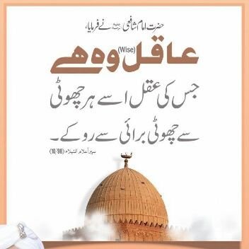 ShahidU19191919's profile picture. peace