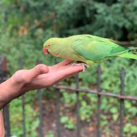 WYK تقني (@bin_yaqoob2) 's Twitter Profile Photo