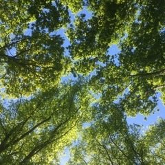 MCCdeJong's profile picture. ☮️