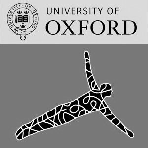 Anti-Racist OII Profile
