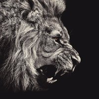 Skillz (@skillcarter) 's Twitter Profile