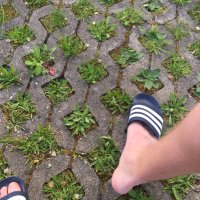 Peter Schmeter (@schmeterpeter) 's Twitter Profile