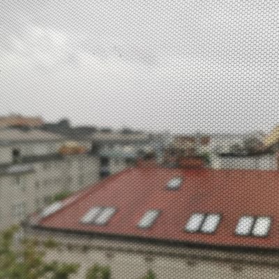 wasef_roma's profile picture. Traveling