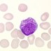 Pathology resident (@nodules_verocay) Twitter profile photo Pathology resident (@nodules_verocay) Twitter profile photo