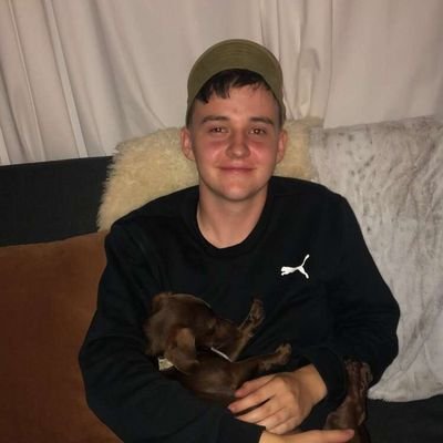 TomWilkin3's profile picture. 