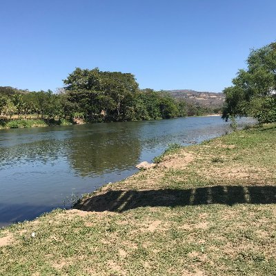 gacardona's profile picture. 