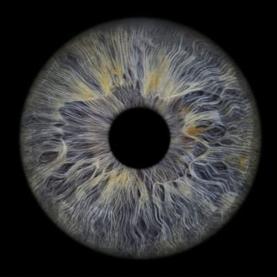 richarddsheen's profile picture. https://t.co/yHtfN7zoKQ