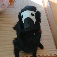 motty7 (@mottymotty77) 's Twitter Profile Photo