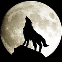 Alaap Sikander (@alaapsikander) 's Twitter Profile