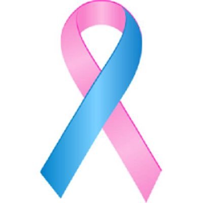 SafetyDude6's profile picture. Christian, veteran, breast cancer survivor, who desires maximum freedom and limited government “The government that governs least governs best of all”