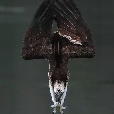 Astawizkid's profile picture. Never give up