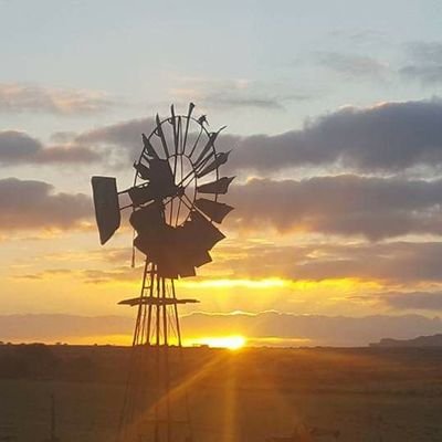 Soletsoleil1's profile picture. Op ons eie,deur ons eie, vir ons eie EK IS 'N BOER!!